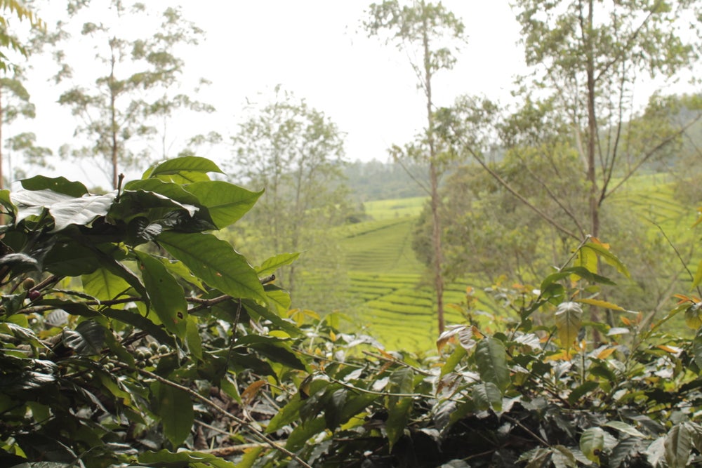 Indonesia Gunung Tujuh Kerinci